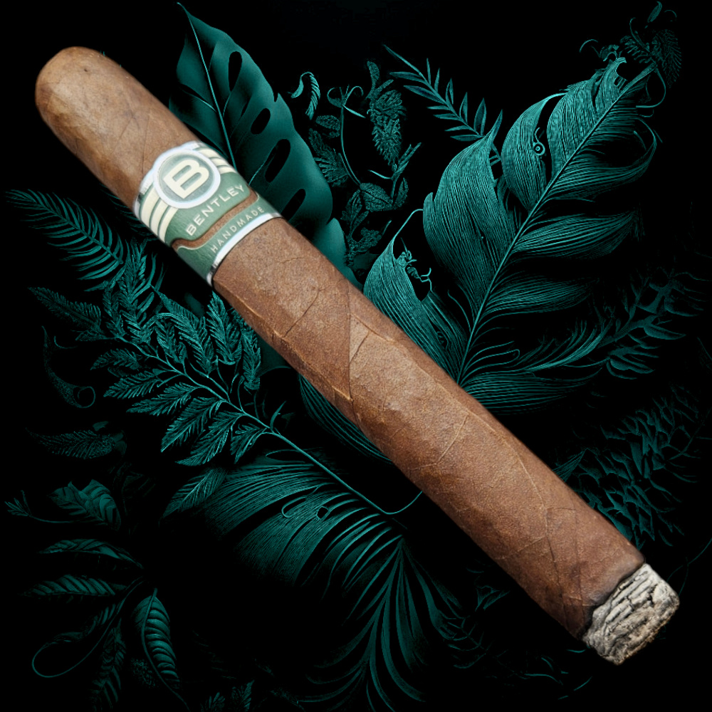 Bentley cigar on a teal leaf background