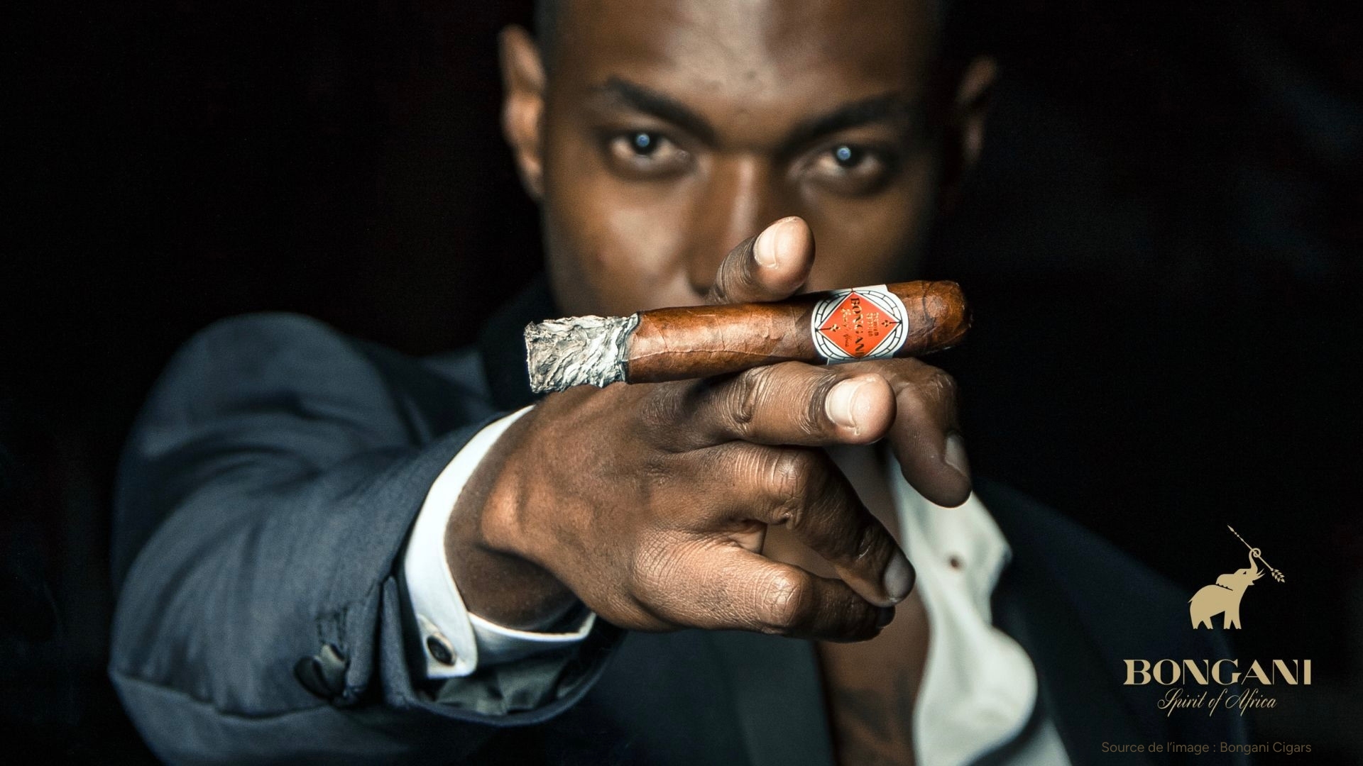 Cigares Bongani d’Afrique